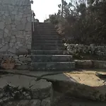 Bura